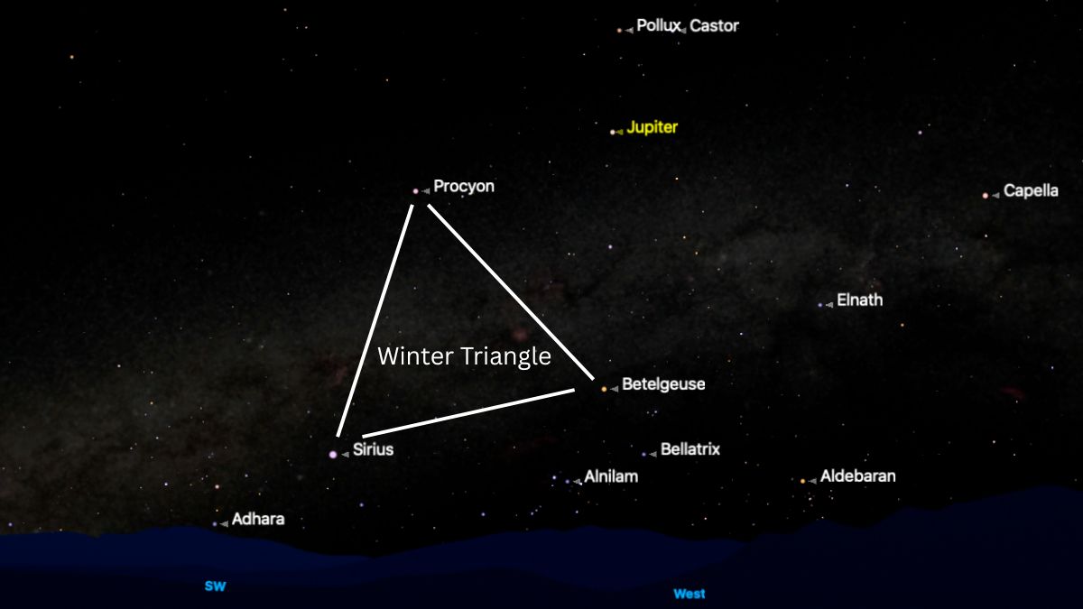 night sky graphic showing the winter triangle shining bright in the night sky
