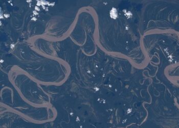 An Amazon rainforest river from space | Space photo of the day for April 30, 2026