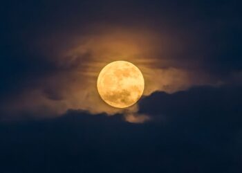 May full moon 2026: When, where and how to see the Flower Moon