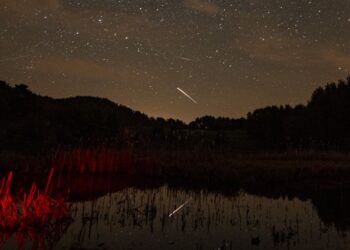 The Lyrid meteor shower 2026 has begun! Here’s what to expect
