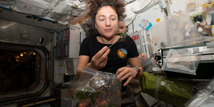 Nutrition Research Arrives Aboard Space Station