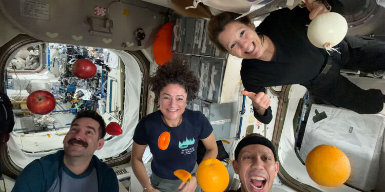 Fresh Food Delivery for Space Station