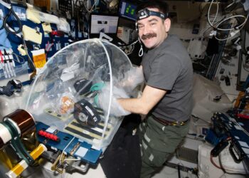 Studying Pneumonia in Space for Heart Health on Earth