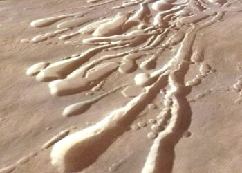 Scientists want to send a roly-poly robot filled with ‘dandelion drones’ to investigate hidden tunnels on Mars
