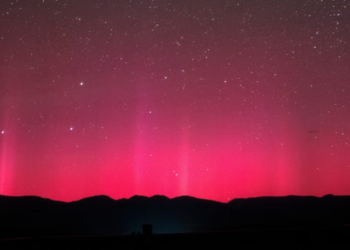 An ancient solar storm left clues in tree rings and a famous poet’s diary: ‘Red lights in the northern sky’